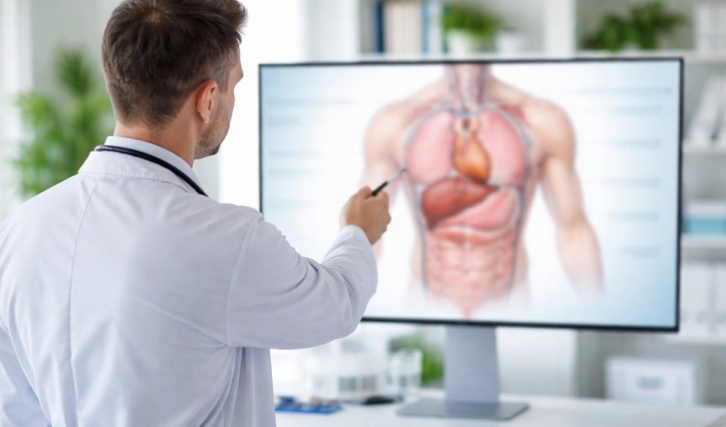 medecin-illustration-anatomique-ecran-salle